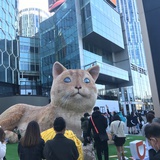 老中医看电影