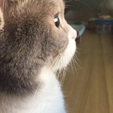 人间不值得