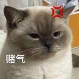别逗儿我了
