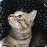 lilian
