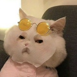 未注销