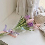 芝芝芒芒