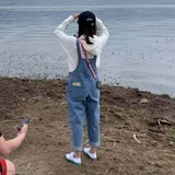 霹雳啪啦陈