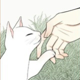 星星点灯