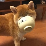 吃饭第一名