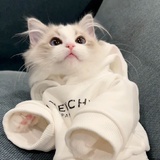 顾惜