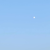 橙小念