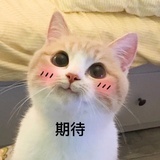鲜芋雪冰