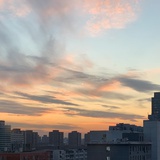 小辣鸡