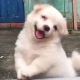 白水
