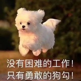 超级喜欢小花生