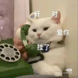 咸咸鱼