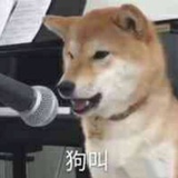狂花