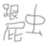 跟屁虫