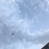 已注册
