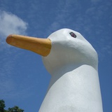 公主不干饭