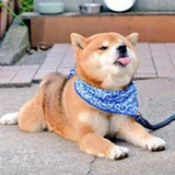 豆友69626604