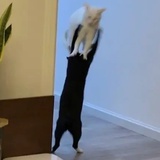 OhYouPoorThing