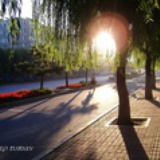 陈早晨