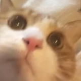 我的浪漫你不懂