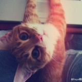 Jovia