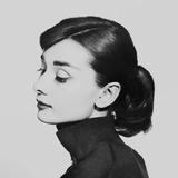 Ivy