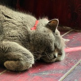 PaulQiu
