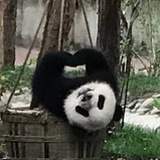 乔一乔