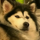 我很厉害吧?