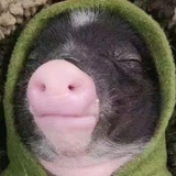 妆冷
