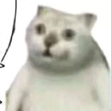 倒栽葱丶