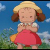 木兰花开