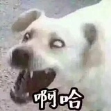 汤圆是元宵
