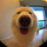 梁阿渣