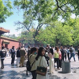 橘星宝🌟