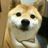 沃堡