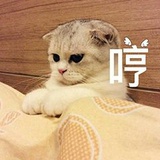 消散在时光中