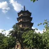 偶合