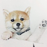不知道叫什么了