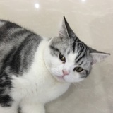 就这样吧