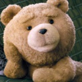 fucking bear