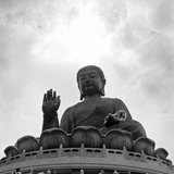 梦见鲸鱼