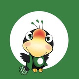 薇琪。狸兒