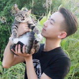 装腔指南