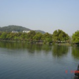 飞来