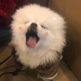 未注销