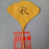 何似在人间