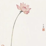 扬尘