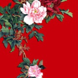 春风唤杨柳