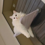 o_O